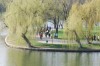 Parcul Tineretului
